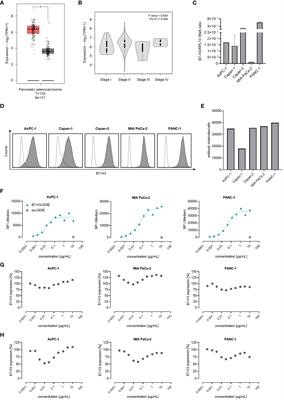 An Fc-modified monoclonal antibody as novel treatment option for pancreatic cancer